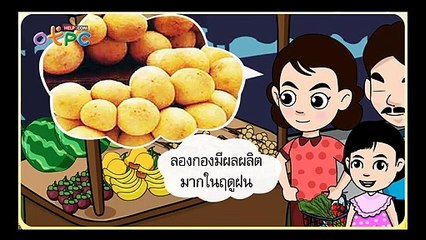 ปัจจัยที่มีผลต่อราคาสินค้า - สื่อการเรียนการสอน สังคม ป.3