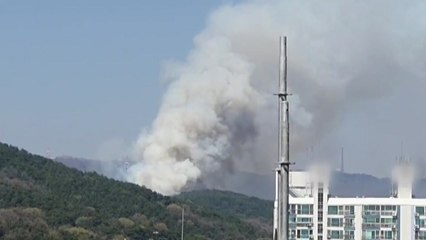 건조한 날씨에 오늘 하루 산불 9건 발생 / YTN