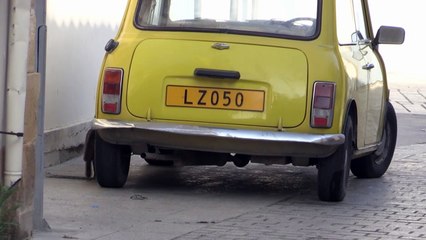 Paws patrol the streets of the Cypriot capital in lockdown