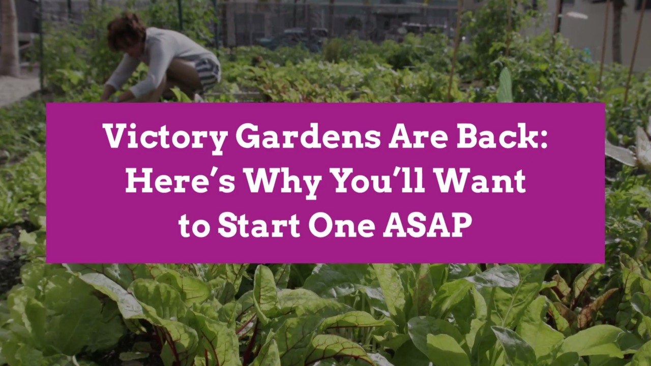 Victory Gardens Are Back: Here's Why You'll Want to Start One ASAP