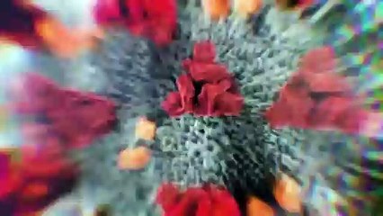 DÉSINFOX ÉPISODE 19 - Le confinement sauve une vie toute les 8 minutes