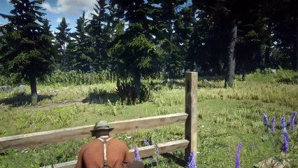 Red Dead Redemption 2 - Farming, For Beginners - Story Mission Walkthrough #80 [2K]