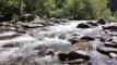 Forest waterfall | Best Relaxing meditation waterfall