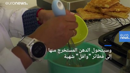 شاهد: طهي فطائر وافل صديقة للبيئة باستخدام دهون الحشرات في بلجيكا