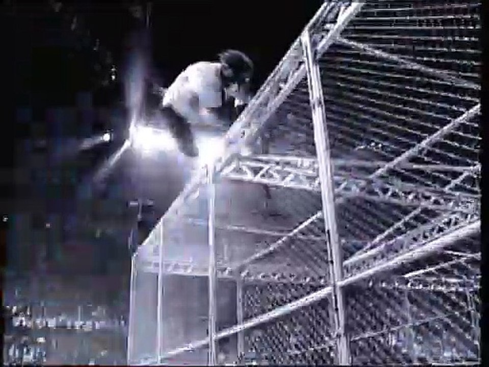 WWE Don't Try This At Home 2005