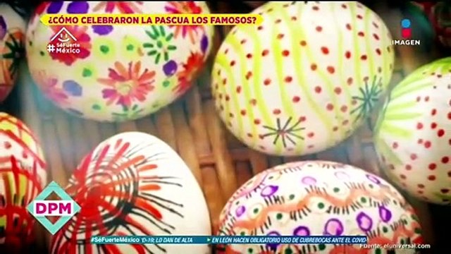 ¡Alexis Ayala y Erika Buenfil en Tik Tok juntos!