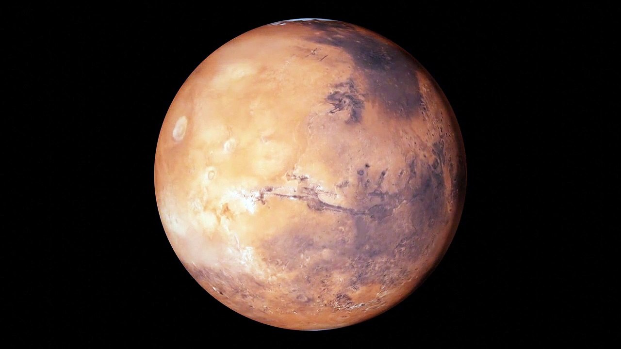 A Fish On Mars