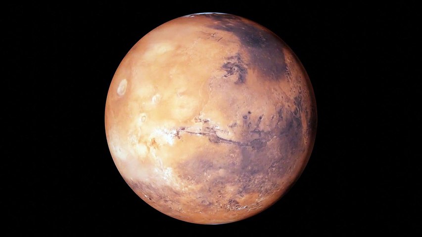 A Fish On Mars