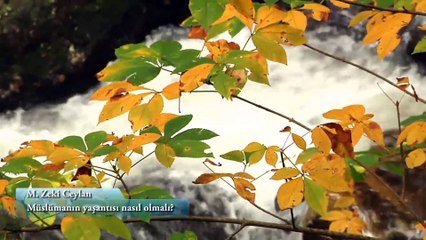 Müminin / Müslümanın günü nasıl olmalıdır?  M. Zeki Ceylan