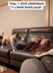 Doggo Steals Pizza from Owner on Ground