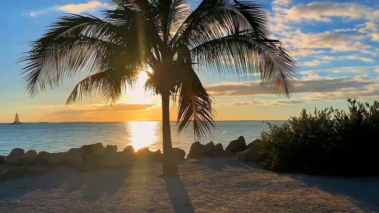 Beauty of nature  | swans | birds | mountains | ocean views | waves | blue |