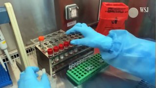 How Coronavirus Test Kits Work