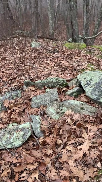 Brian Ghilliotti: Clinton, CT Lithic Site 1: Initial Assessment: Ceremonial Stone Pile Along Ridge, 30/210 degree azimuth