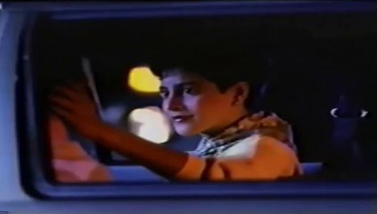 Pool (O Mundo dos Gatos) 1988