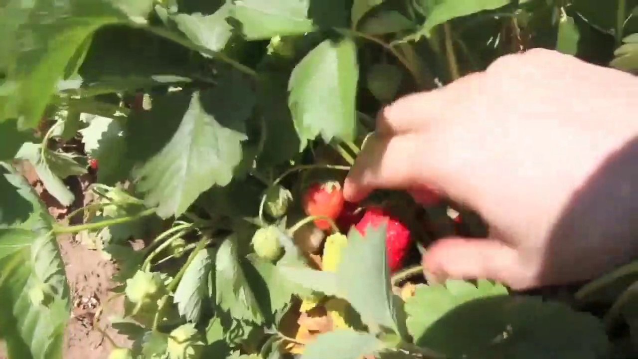 Creative people | awesome girl eating yoga health golf court scuba volleyball photographer pasta eat