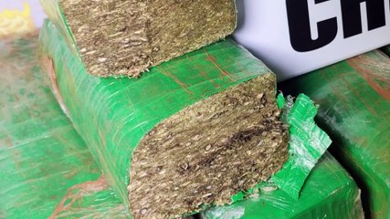 Cinco pessoas são presas pelo crime de tráfico de drogas no Conjunto Riviera