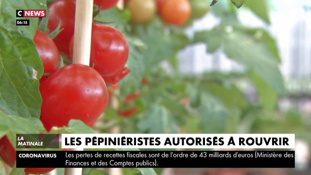 Les pépiniéristes autorisés à rouvrir