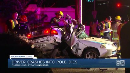Driver crashes into pole, dies