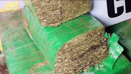 Cinco pessoas são presas pelo crime de tráfico de drogas no Conjunto Riviera