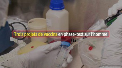 Coronavirus : trois projets de vaccins en phase-test sur l'homme