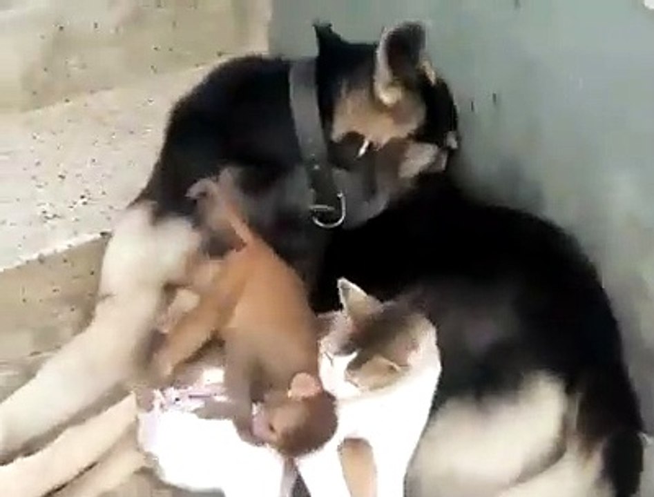 Only trust is what it needs
