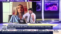 Sandrine Cauvin (OTEA Capital) : Malgré l'accord de l'OPEP, les cours du pétrole chutent à nouveau - 15/04