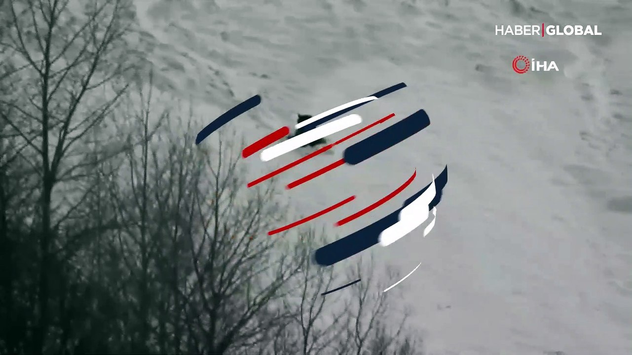 Yer Tunceli... Boz ayıların karda kayak keyfi