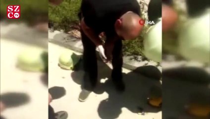 Dumandan zehirlenen iki köpek kalp masajı ile yaşama döndürüldü