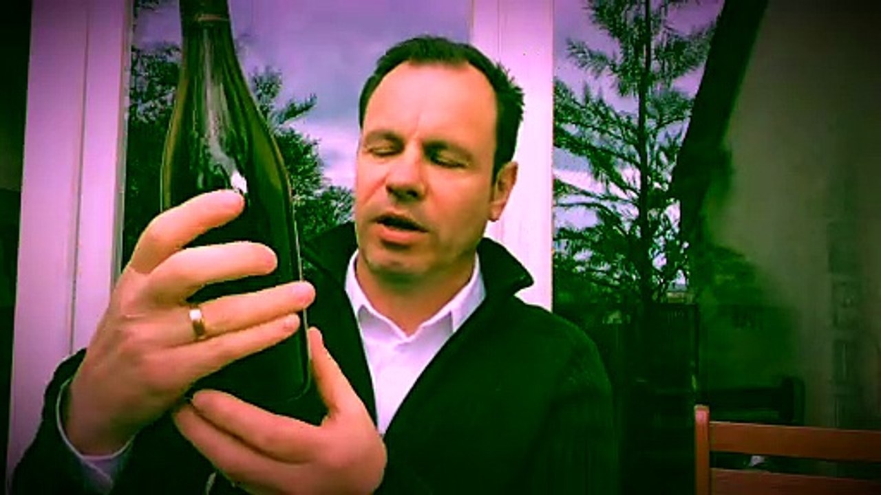 VIN DE  SAINT -JOSEPH  PIERRE FINON 2017