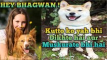 Dogs information, Kutton ki jankari, knowledge of dogs, kutton ka Sapne dekhna ,kya kutte ko Sapne dekhte hain,  kya kutte ko colour dikhte Hain, kya kutte ko Rang Dikhte Hai, kya kutte Hanste Hai,kya kutte muskurate Hai,dogs laugh, dogs dreams