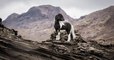 Cette photographe immortalise la splendeur des chevaux dans les paysages islandais