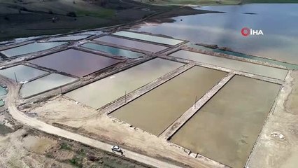 Korona virüs tuz satışlarını vurdu