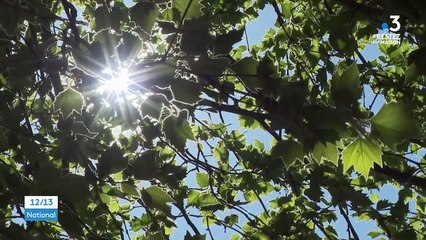 Déconfinement : l'inquiétude des professionnels du secteur de l'hôtellerie et de la restauration