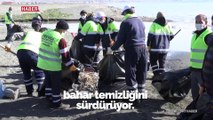 Van Gölü sahilinden 40 ton çöp toplandı