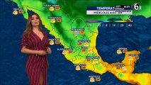 El pronóstico del tiempo con Pamela Longoria Miércoles 15/04/2020. @pamelaalongoria #Mexico #Monterrey #Aguascalientes #Coronavirus #Covid19