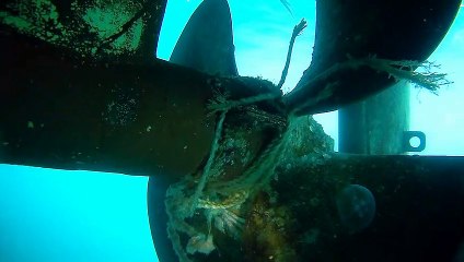 Propeller Starboard rope
