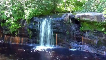 لماذا خلقنا الله - الشيخ محمد راتب النابلسى