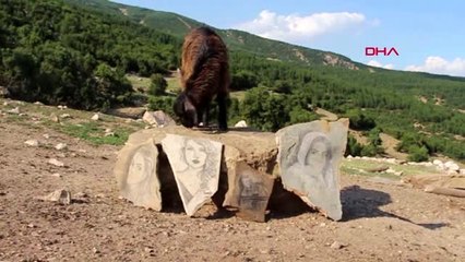BURDUR 'Çoban ressam'ın eserleri doğayı süslüyor-ARŞİV