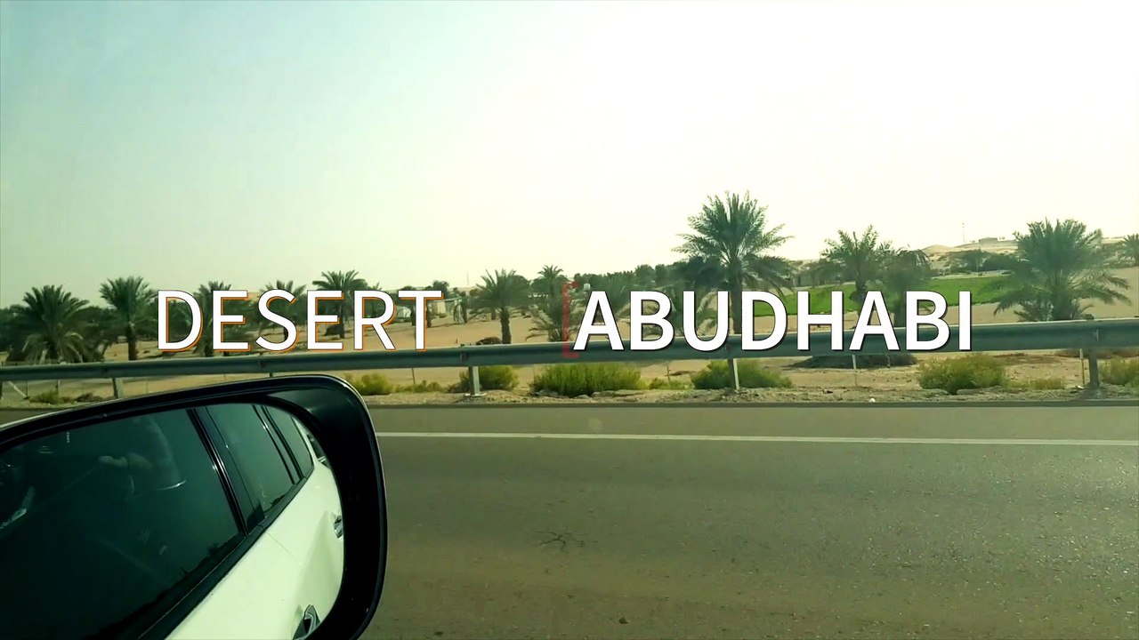 Desert Safari