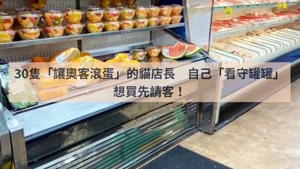 adgeek_teepr_curation_desktop_bottom-copy1-20200415-21:09