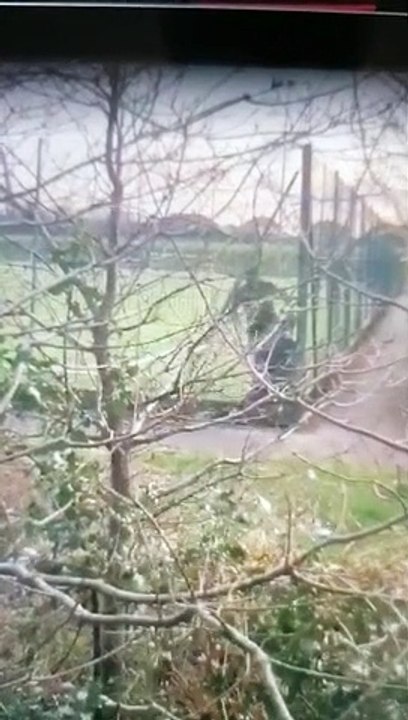 VID_20200406_124637
