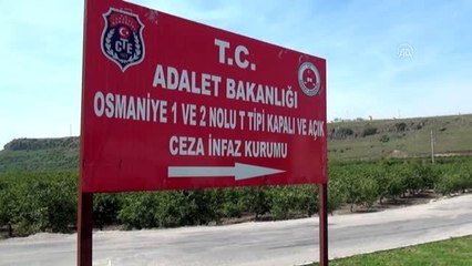 Cezaevlerinden tahliyeler başladı