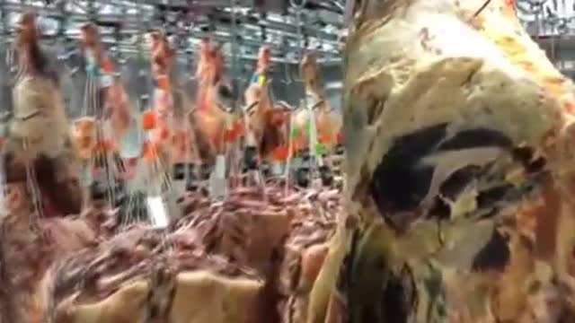 Miles de productos frescos sin vender por el cierre de los restaurantes