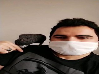 Sahibi korona virüse yakalanan papağan Pakize: "Evden çıkma, evde kal"