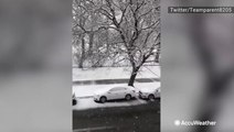 Late-season snow blankets Chicago