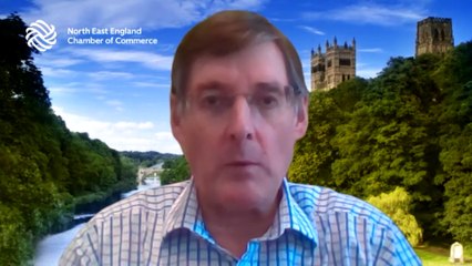 COVID-19 AND BUSINESSES