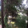 Η Ρούλα Κορομηλά χαλαρώνει στον εντυπωσιακό της κήπο