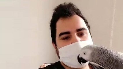 Sahibi koronavirüsü atlatan papağan: Evden çıkma, evde kal