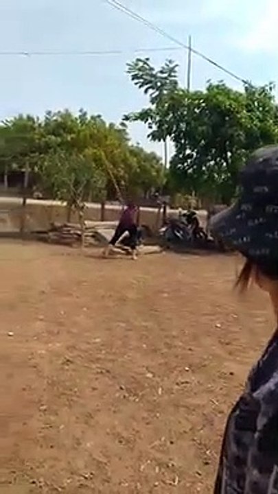 Clip hai