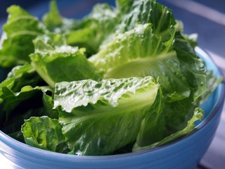 You Can Grow Romaine Lettuce in a Bowl of Water With This Easy Trick